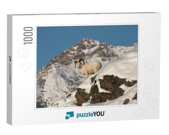 Dall Sheep Ram in a Winter Mountain Landscape with the Pe... Jigsaw Puzzle with 1000 pieces
