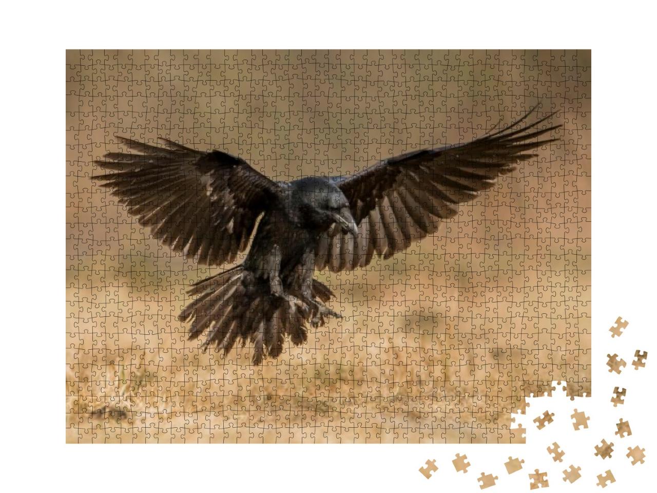 Raven Corvus Corax... Jigsaw Puzzle with 1000 pieces