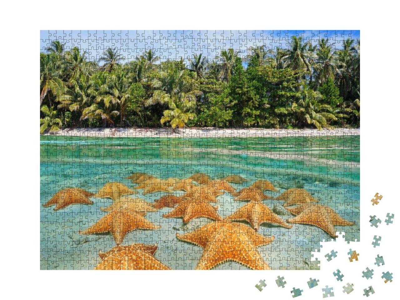 Split Image Over & Under Sea Surface Near the Shore of a... Jigsaw Puzzle with 1000 pieces