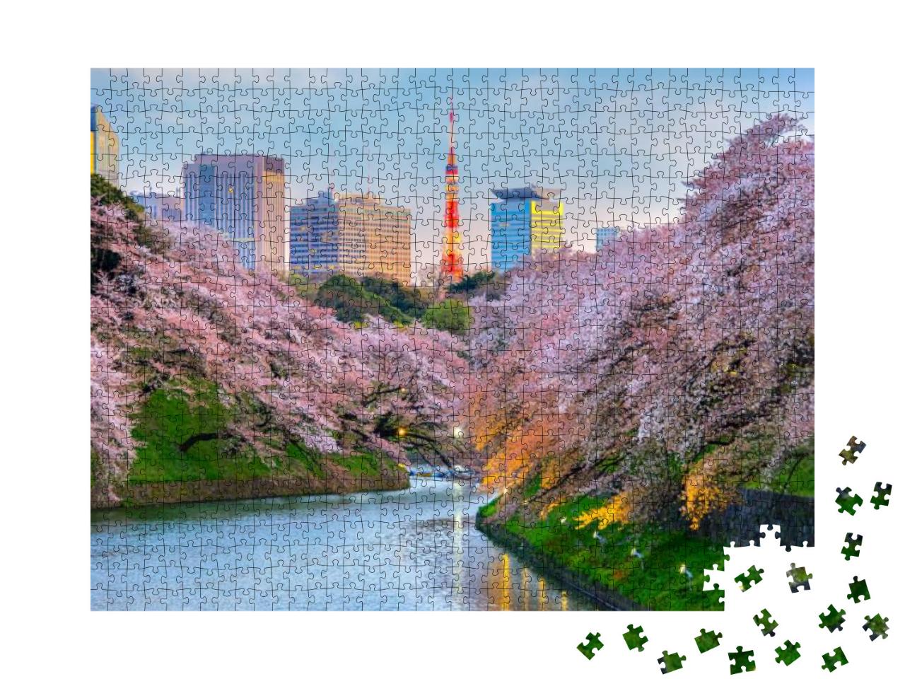 Chidorigafuchi Park During the Spring Season This Area is... Jigsaw Puzzle with 1000 pieces