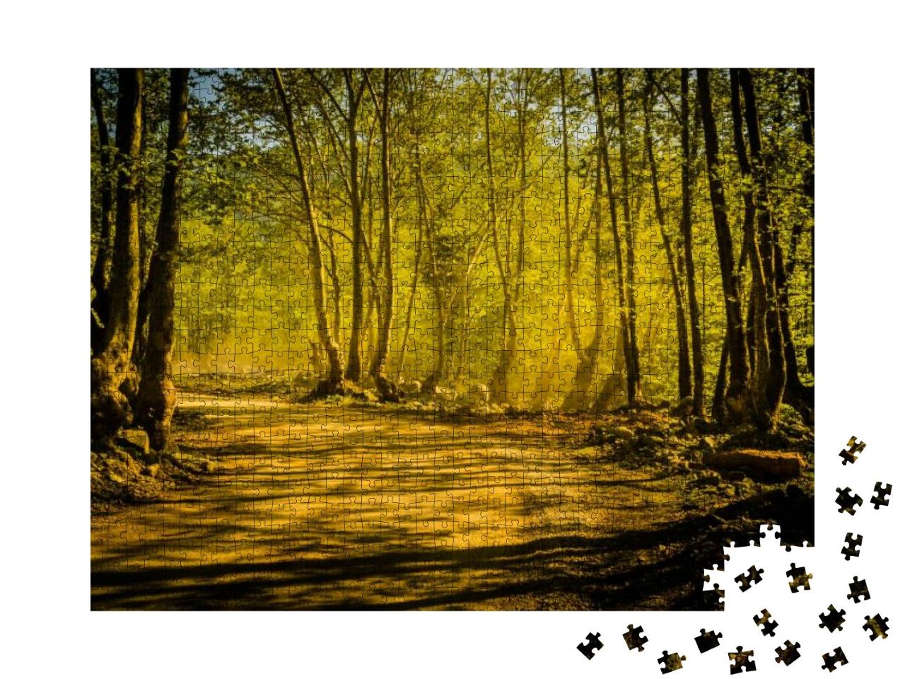 Woodland & Forest Natural Environment of Marmara Region L... Jigsaw Puzzle with 1000 pieces