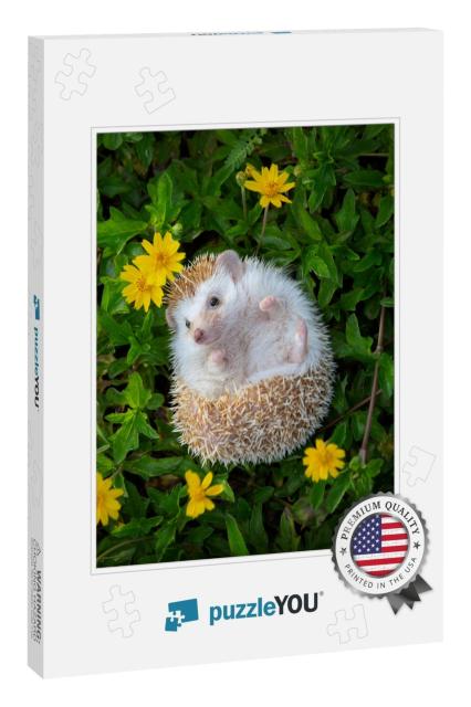 European Hedgehog Playing in the Flower Garden with Very... Jigsaw Puzzle