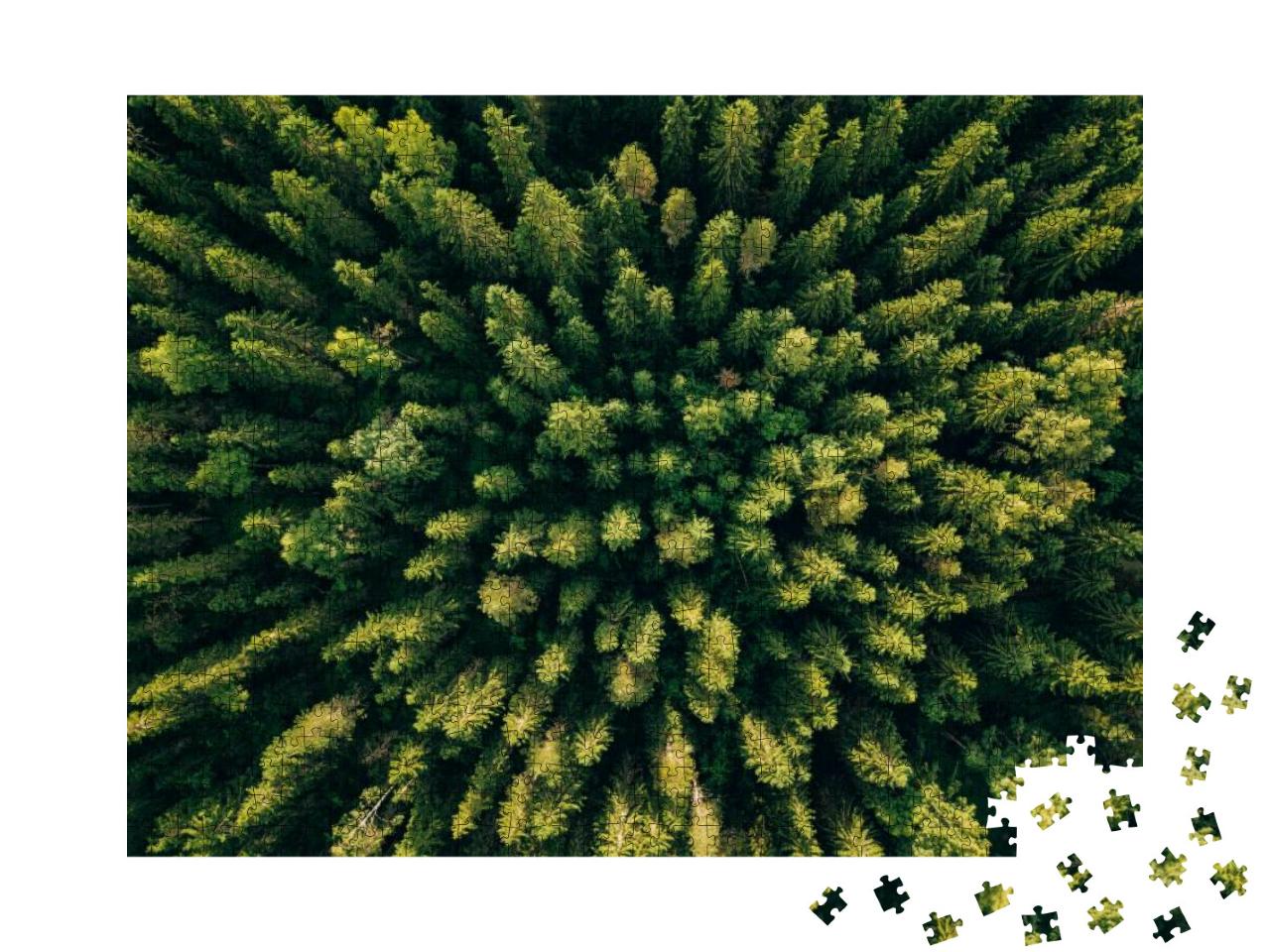 Aerial Top View of Summer Green Trees in Forest in Rural... Jigsaw Puzzle with 1000 pieces