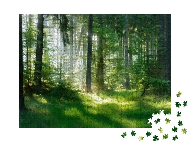 Natural Forest of Spruce Trees, Sunbeams Through Fog Crea... Jigsaw Puzzle with 1000 pieces