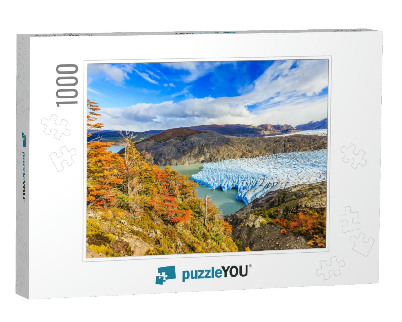 Torres Del Paine National Park, Chile. Grey Glacier... Jigsaw Puzzle with 1000 pieces