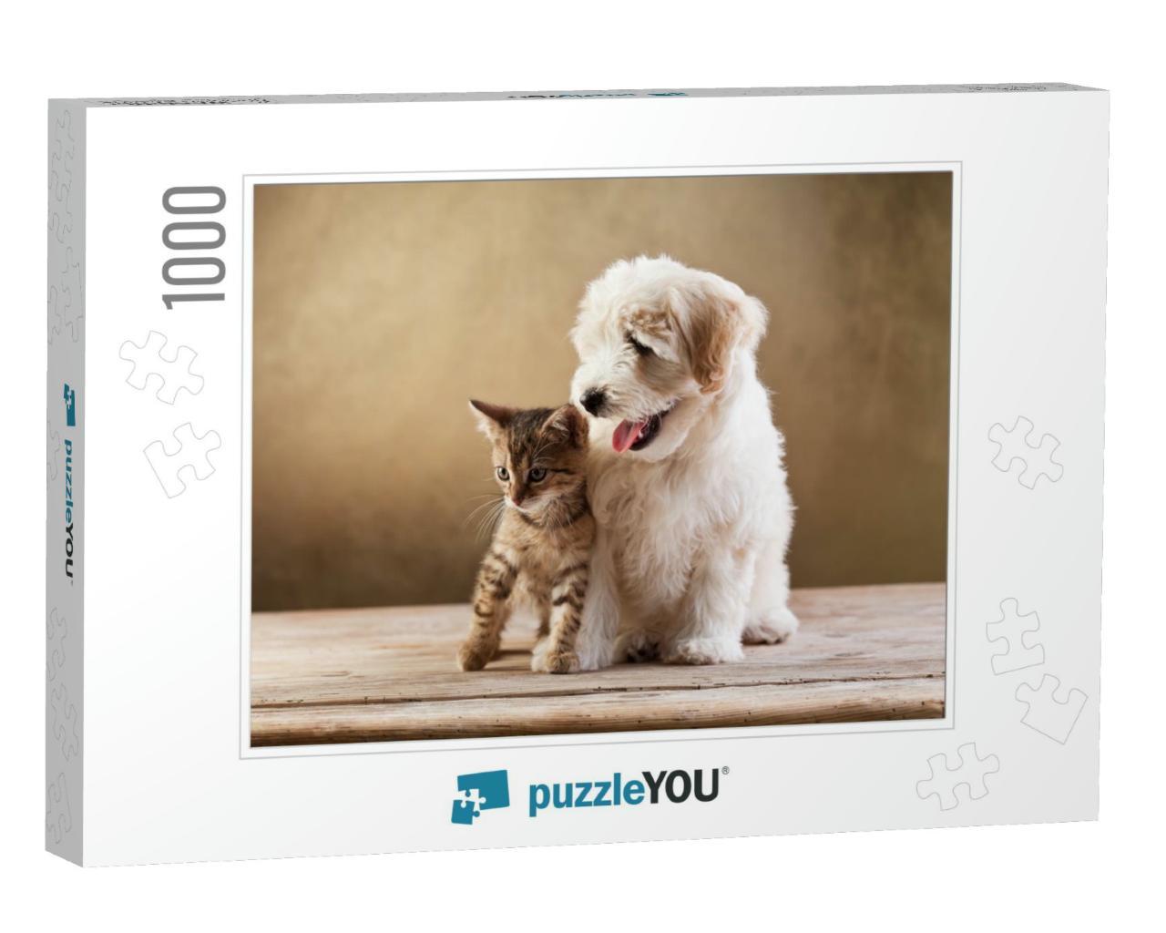 Best Friends - Kitten & Small Fluffy Dog Looking Sideways... Jigsaw Puzzle with 1000 pieces