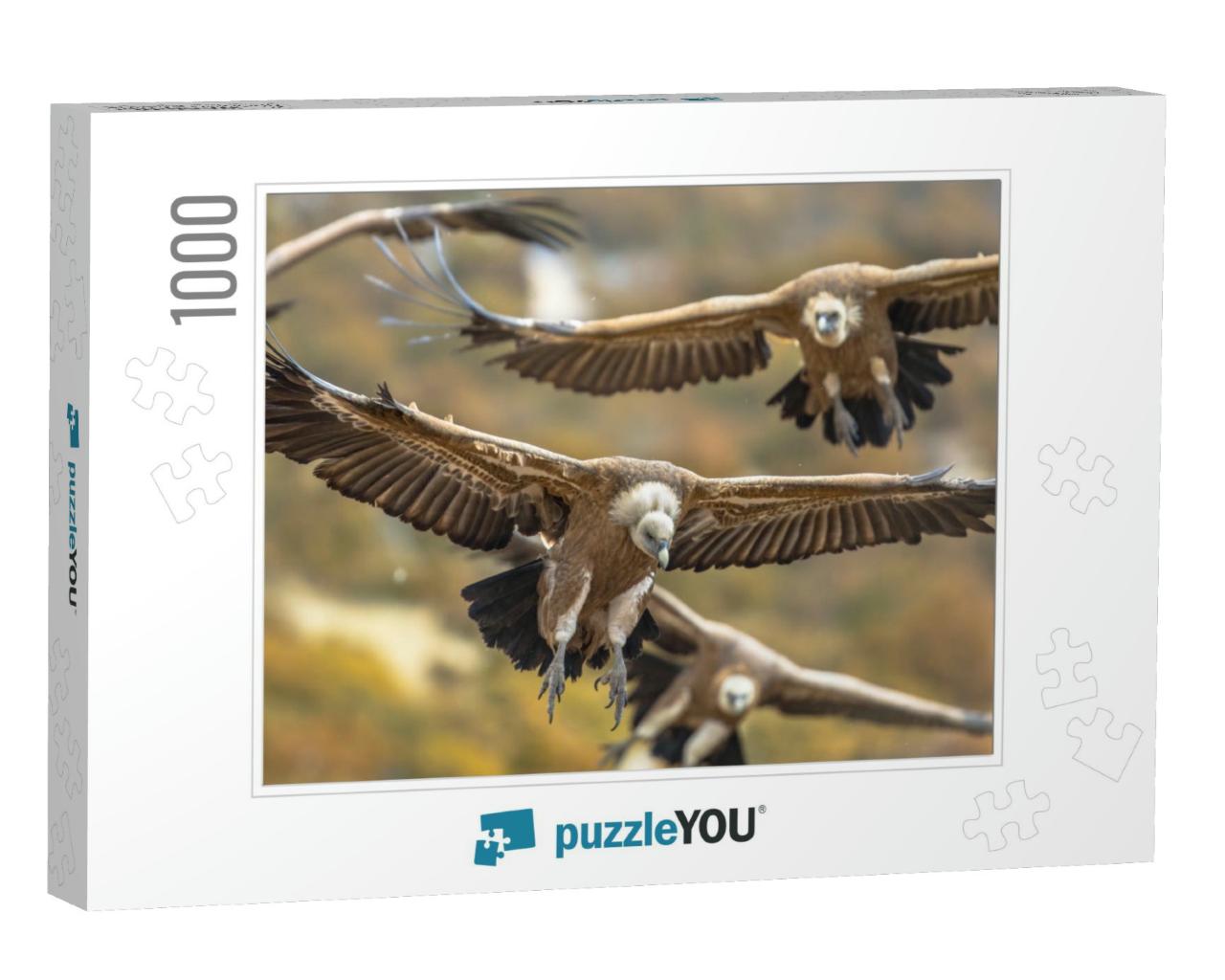 Griffon Vultures Gyps Fulvus Group Flying in Misty Condit... Jigsaw Puzzle with 1000 pieces