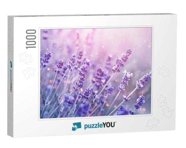 Lavender Flower Field, Blooming Violet Fragrant Lavender... Jigsaw Puzzle with 1000 pieces
