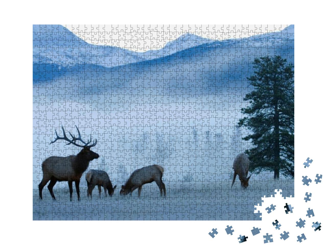 Rocky Mountain Bull Elk & Cows, Frosty Morning... Jigsaw Puzzle with 1000 pieces