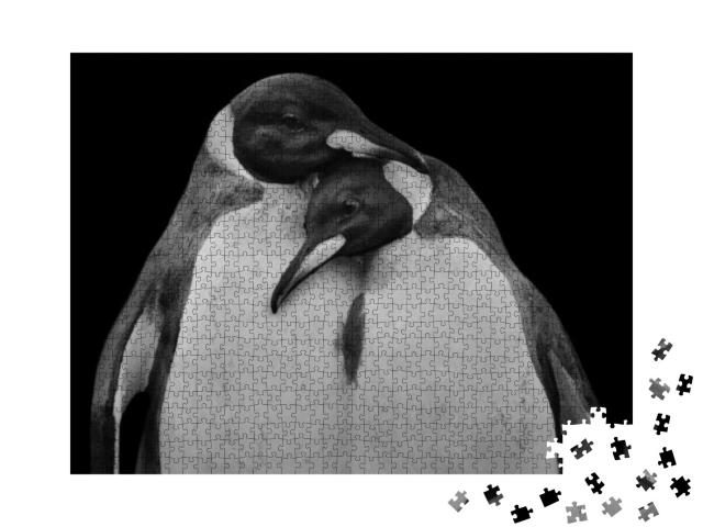 Two Cute & Very Happy Couple Penguins Hug with Each Other... Jigsaw Puzzle with 1000 pieces
