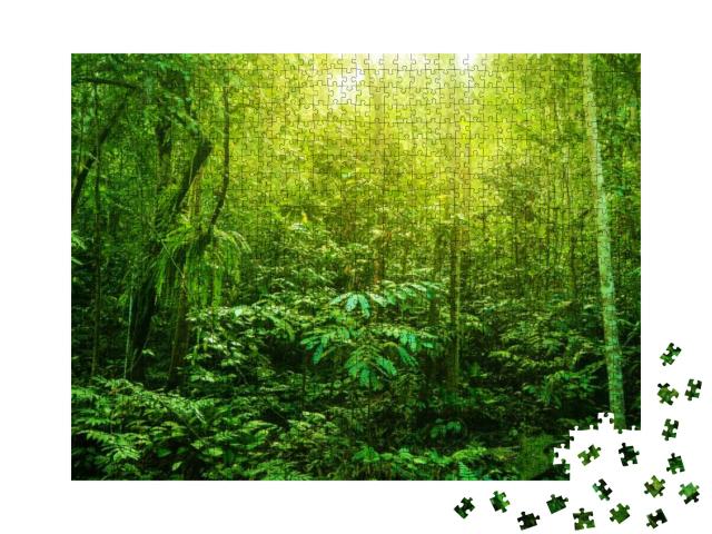 Incredible Tropical Green Forest View with Sun Flare in M... Jigsaw Puzzle with 1000 pieces