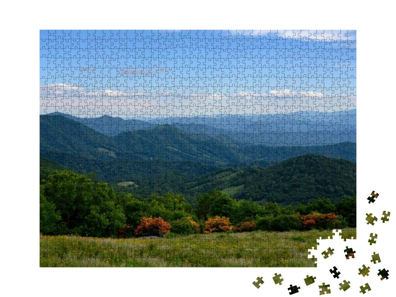 Flame Azalea Bloom on Ridge of Blue Ridge Mountains in Su... Jigsaw Puzzle with 1000 pieces