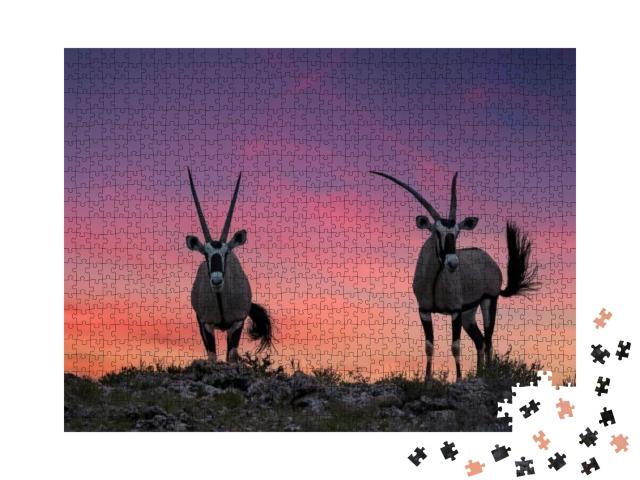 African Wildlife. Two Large Antelopes with Spectacular Ho... Jigsaw Puzzle with 1000 pieces