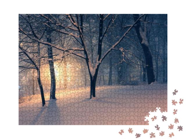 Winter Evening Park & Light in Haze Behind the Trees... Jigsaw Puzzle with 1000 pieces