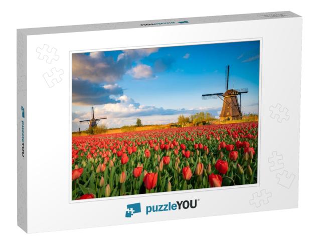 Beautiful Dutch Scenery with Traditional Windmills & Tuli... Jigsaw Puzzle