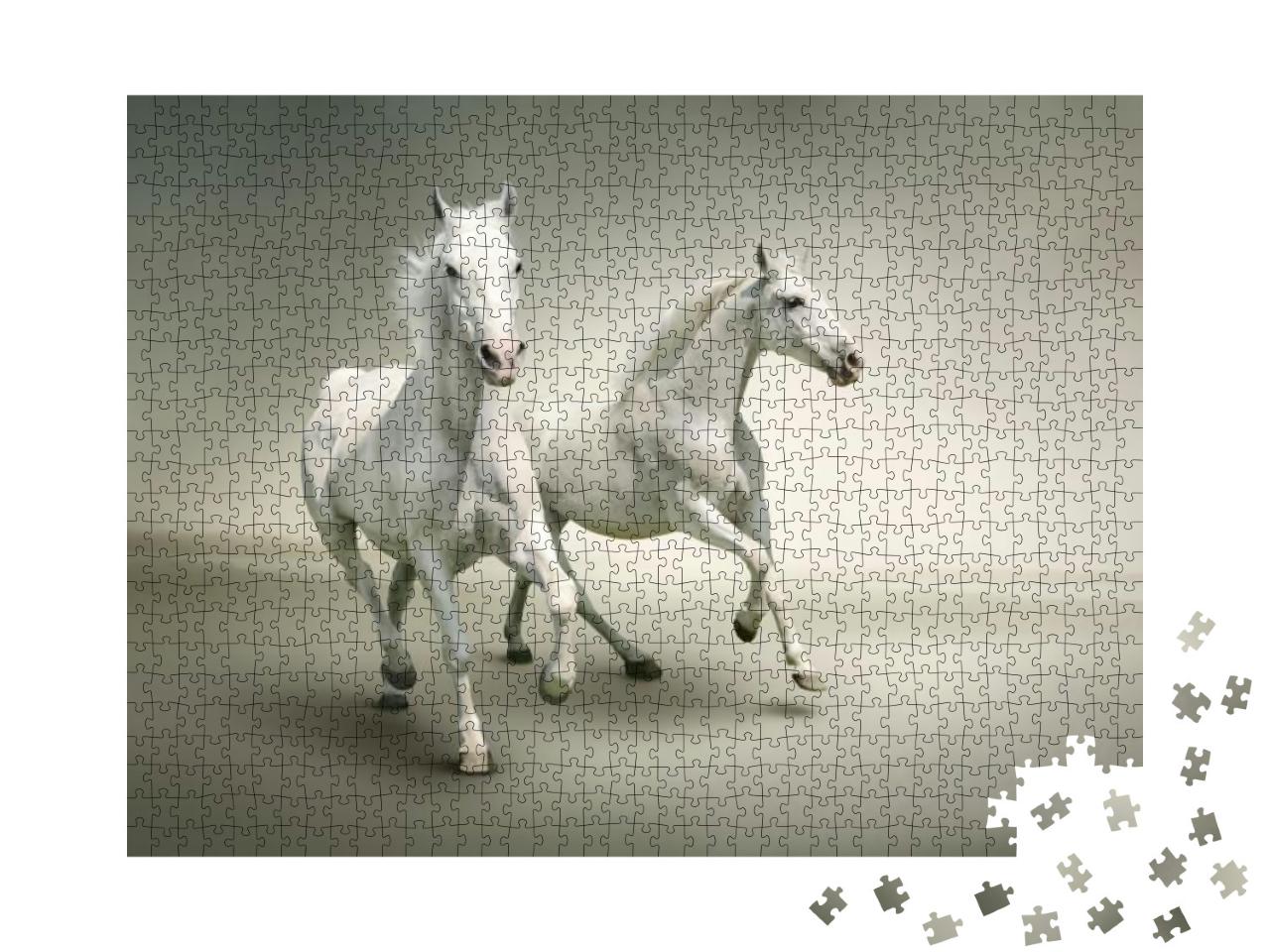 White Horses... Jigsaw Puzzle with 1000 pieces