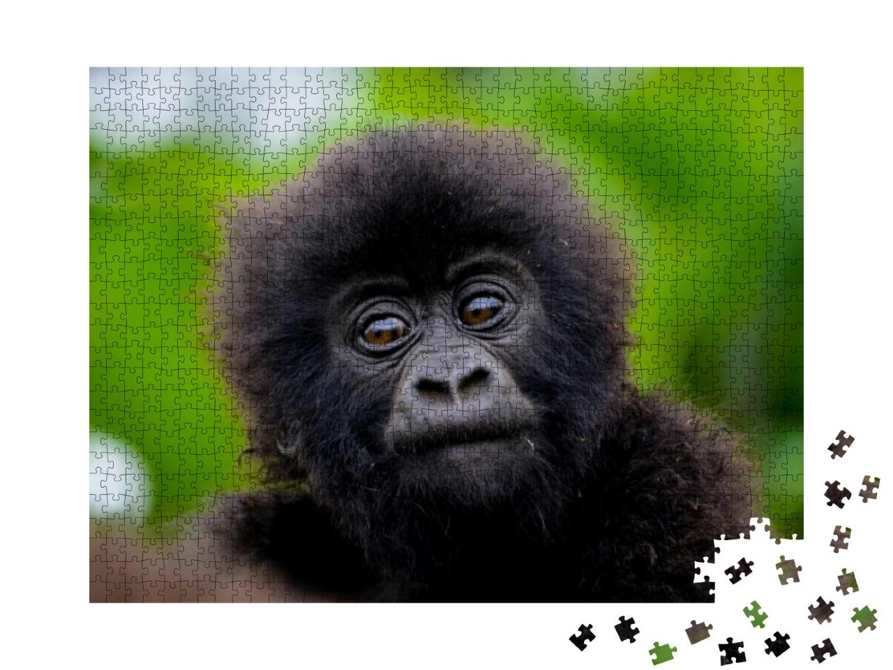 Cute Baby Gorilla in the Rwanda Forest... Jigsaw Puzzle with 1000 pieces