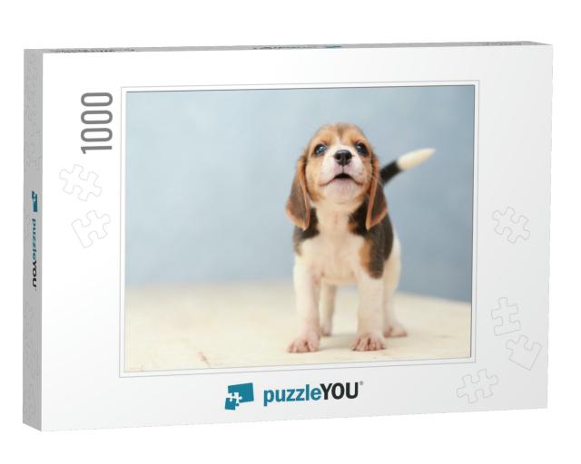 Small Cute Beagle Puppy Dog Looking Up... Jigsaw Puzzle with 1000 pieces