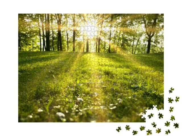 Sunlight in the Green Forest, Spring Time... Jigsaw Puzzle with 1000 pieces