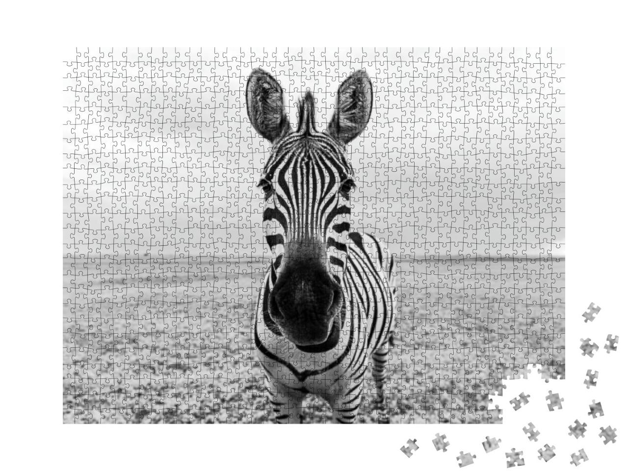 Zebra Black & White Portrait. Unique Wild Animal Looking... Jigsaw Puzzle with 1000 pieces