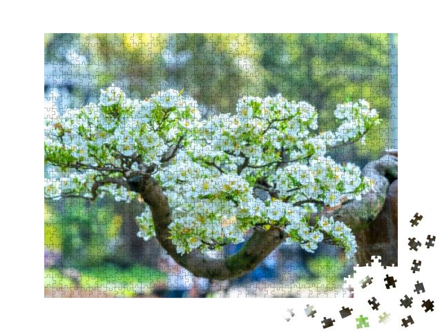 White Apricot Flowers Bonsai Tree Blooming Fragrant Petal... Jigsaw Puzzle with 1000 pieces