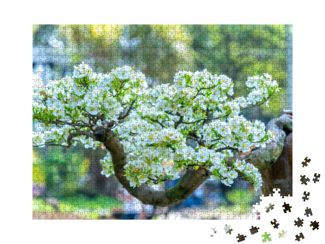 White Apricot Flowers Bonsai Tree Blooming Fragrant Petal... Jigsaw Puzzle with 1000 pieces