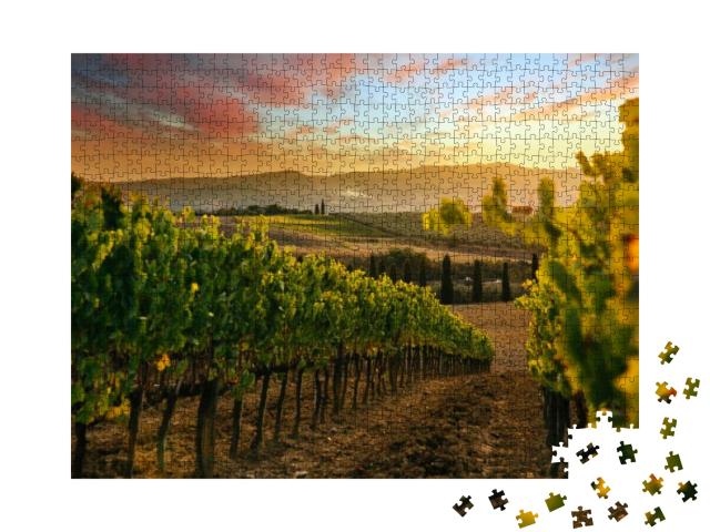 Beautiful Sunset Over Vineyards... Jigsaw Puzzle with 1000 pieces