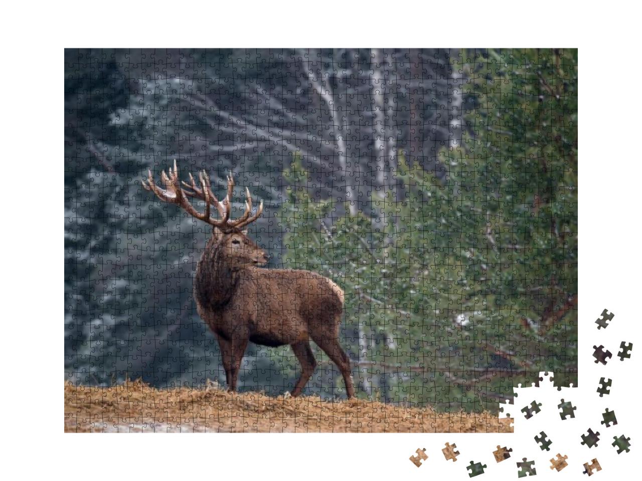 Great Adult Noble Red Deer with Big Horns, Beautifully Tu... Jigsaw Puzzle with 1000 pieces