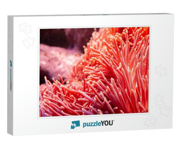 Flower Sea Living Coral & Reef Color Under Deep Dark Wate... Jigsaw Puzzle