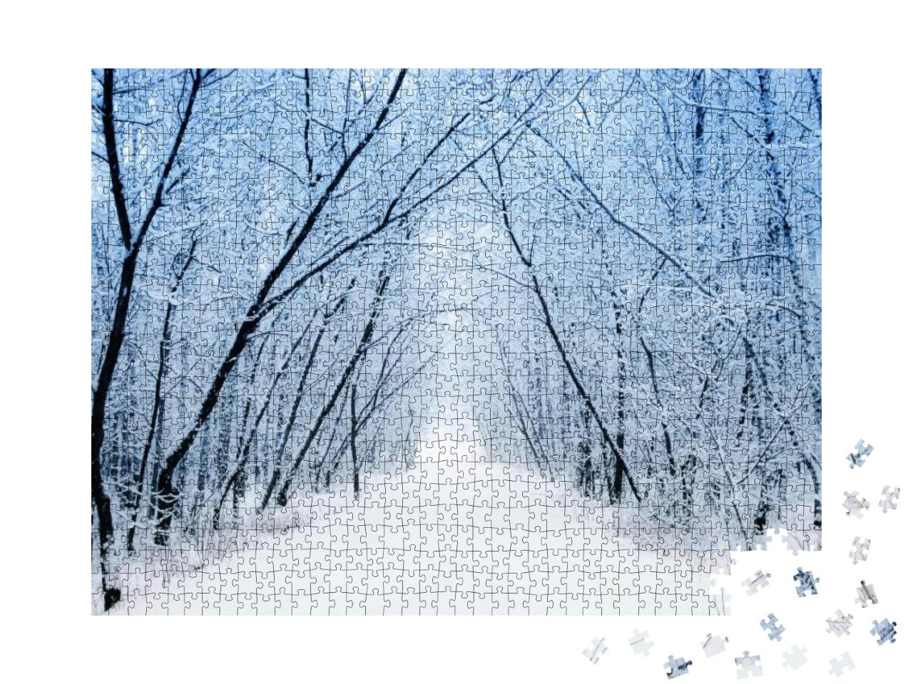 Winter... Jigsaw Puzzle with 1000 pieces