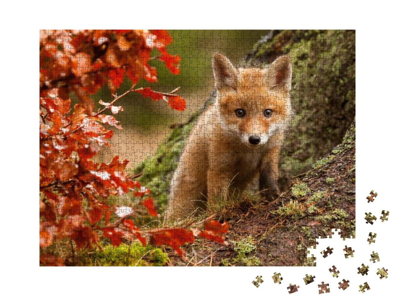 Fox... Jigsaw Puzzle with 1000 pieces