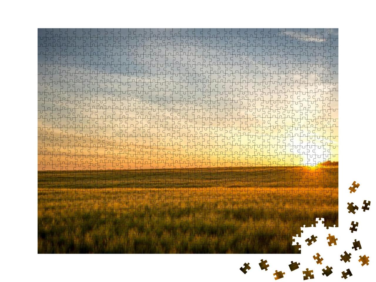 Sunset on the Field... Jigsaw Puzzle with 1000 pieces
