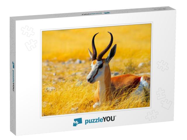 Wild African Animals. the Springbok Medium-Sized Antelope... Jigsaw Puzzle