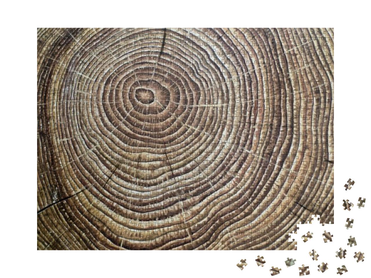 Painted Brown Wooden Annual Rings... Jigsaw Puzzle with 1000 pieces