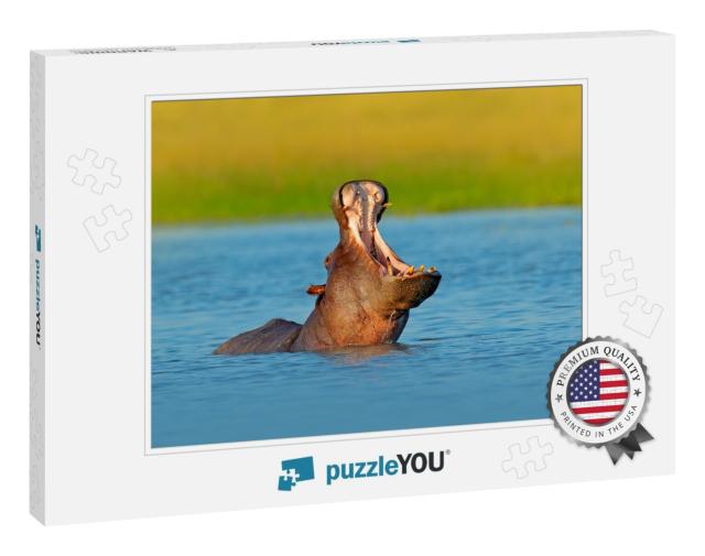 Hippo with Open Muzzle in the Water. African Hippopotamus... Jigsaw Puzzle