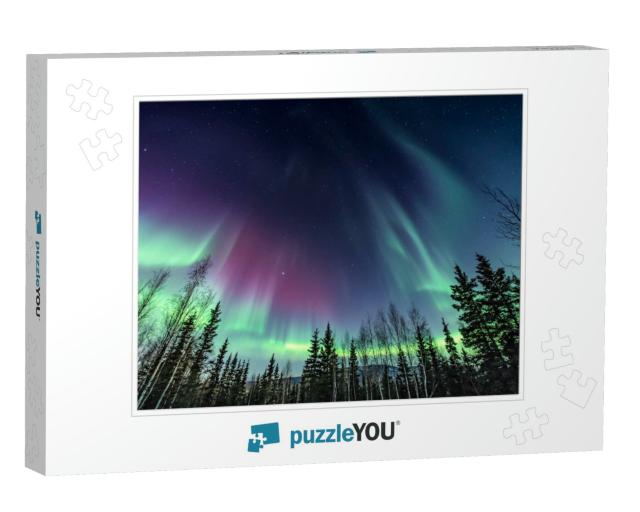 Purple & Green Northern Lights Swirling Over Pine Trees... Jigsaw Puzzle