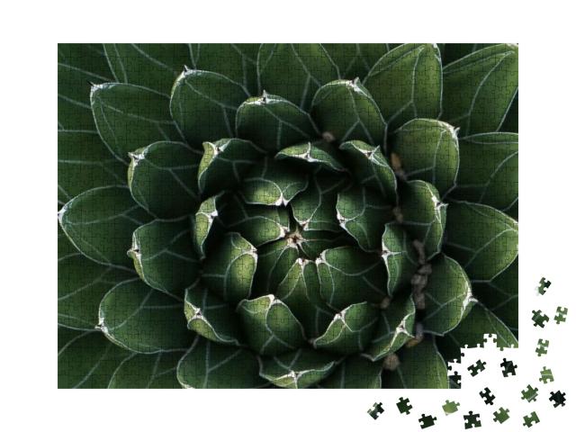 Fractal Cactus Energy Peaceful Green... Jigsaw Puzzle with 1000 pieces