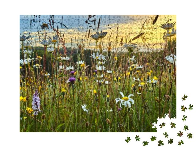 Old Wild Flower Hay Meadow in Summer... Jigsaw Puzzle with 1000 pieces