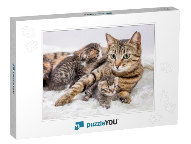 Mom Mother Cat & Baby Cat Kitten... Jigsaw Puzzle