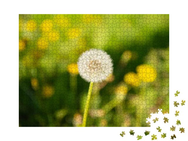 Dandelion Blowball Flower on Natural Background. Macro. N... Jigsaw Puzzle with 1000 pieces