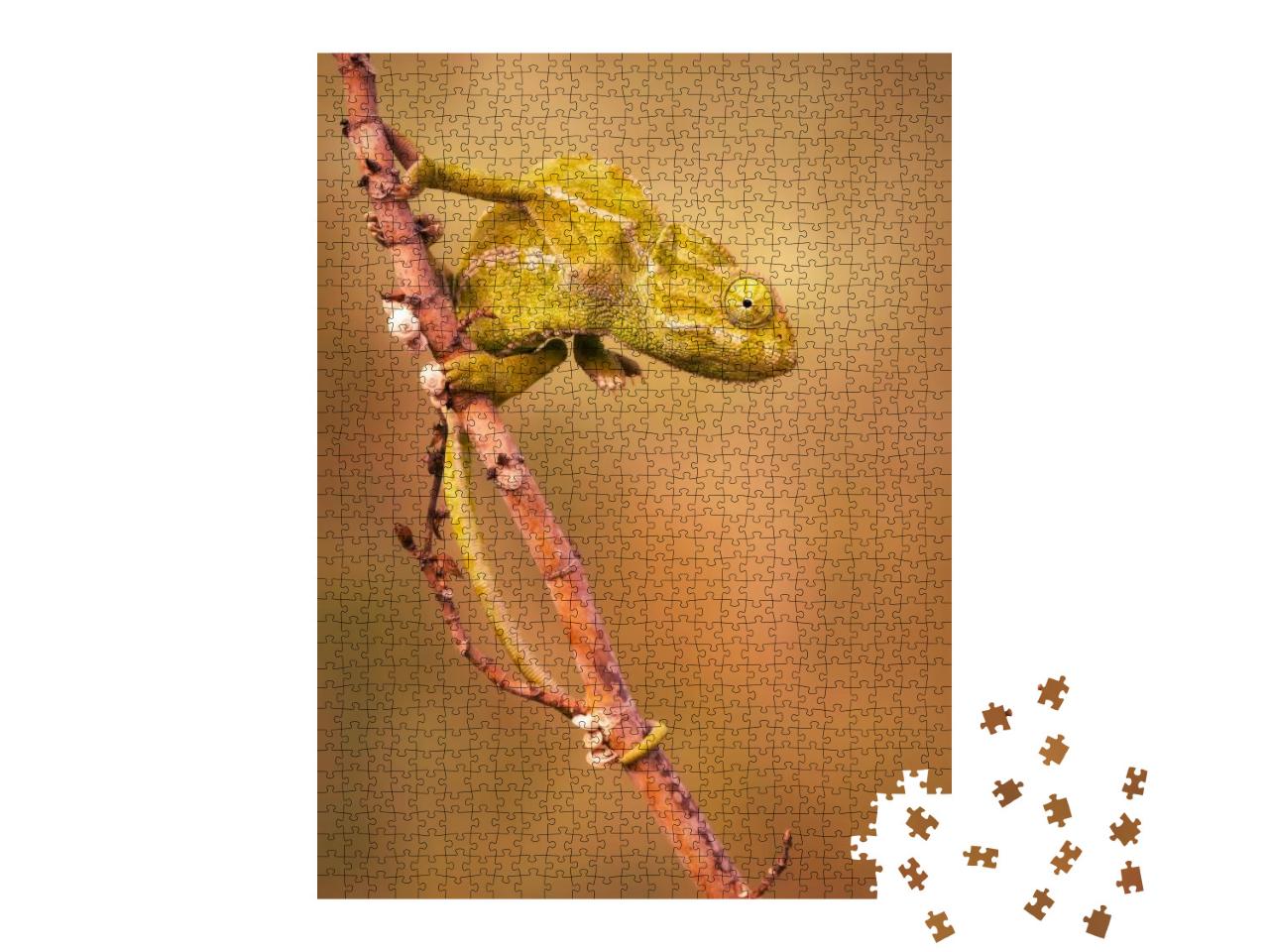 Common Chameleon Chamaeleo Chamaeleon... Jigsaw Puzzle with 1000 pieces