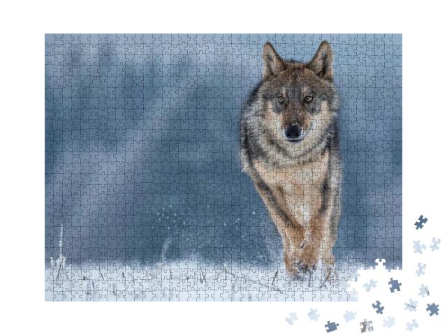 Wolf Runnin in Snow... Jigsaw Puzzle with 1000 pieces