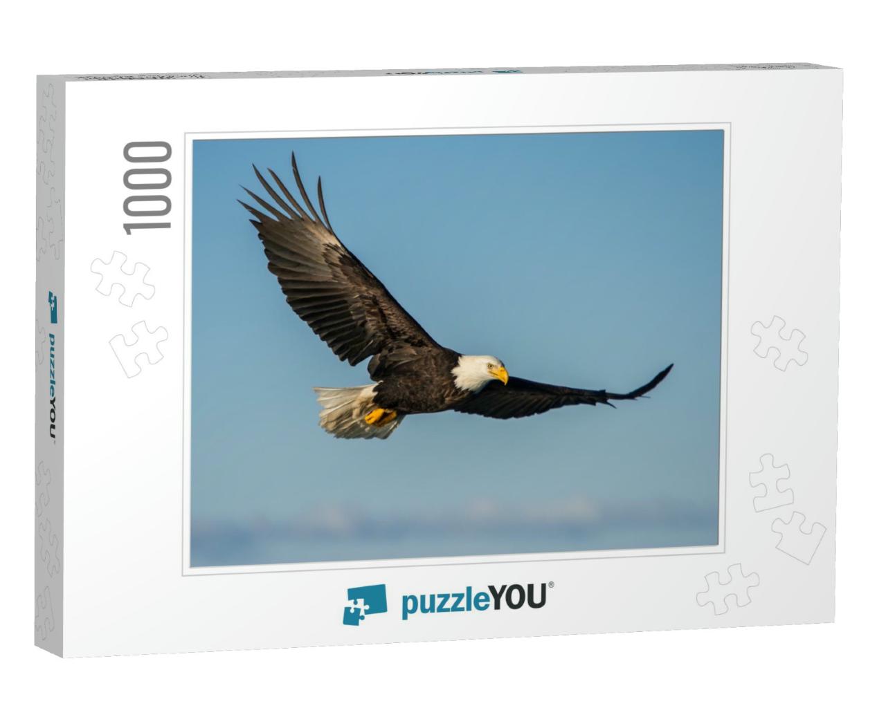American Bald Eagle Soaring Against Clear Blue Alaskan Sk... Jigsaw Puzzle with 1000 pieces