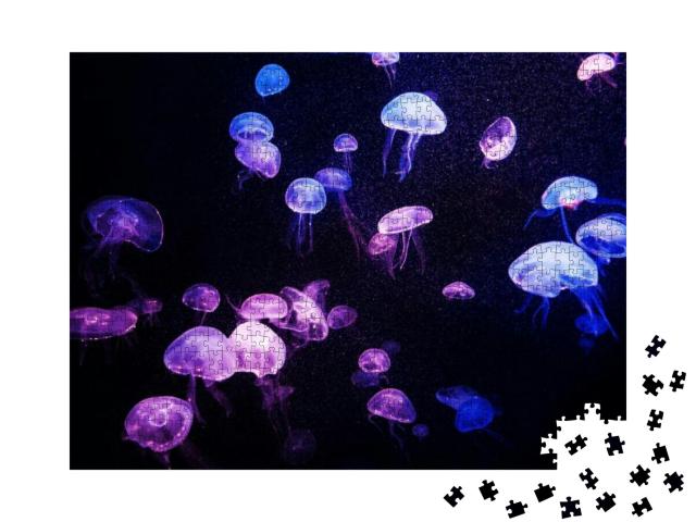 Beautiful Light Reflection on Jellyfish in the Aquarium... Jigsaw Puzzle with 1000 pieces