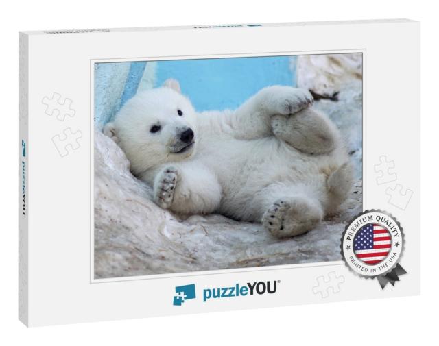 A Polar Bear Cub Lies in the Snow on Its Back... Jigsaw Puzzle