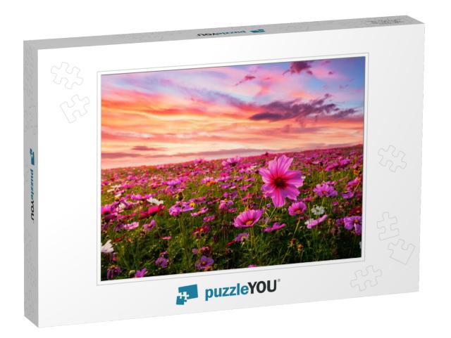 Beautiful & Amazing of Cosmos Flower Field Landscape in S... Jigsaw Puzzle