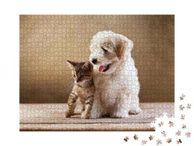 Best Friends - Kitten & Small Fluffy Dog Looking Sideways... Jigsaw Puzzle with 1000 pieces
