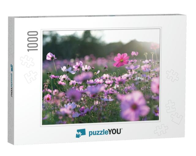 Field of Cosmos Flower... Jigsaw Puzzle with 1000 pieces