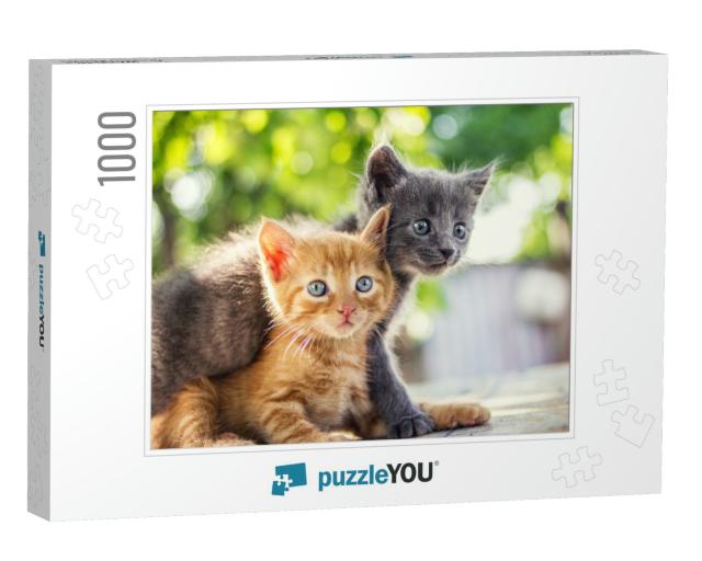 Two Adorable Kittens Playing Together. Kittens Outdoor... Jigsaw Puzzle with 1000 pieces