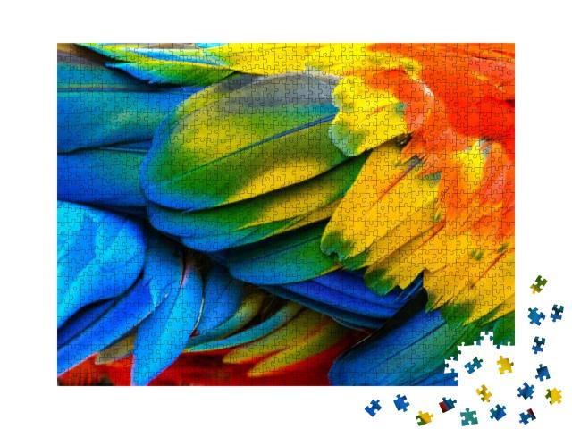 Close Up of Scarlet Macaw Birds Feathers... Jigsaw Puzzle with 1000 pieces